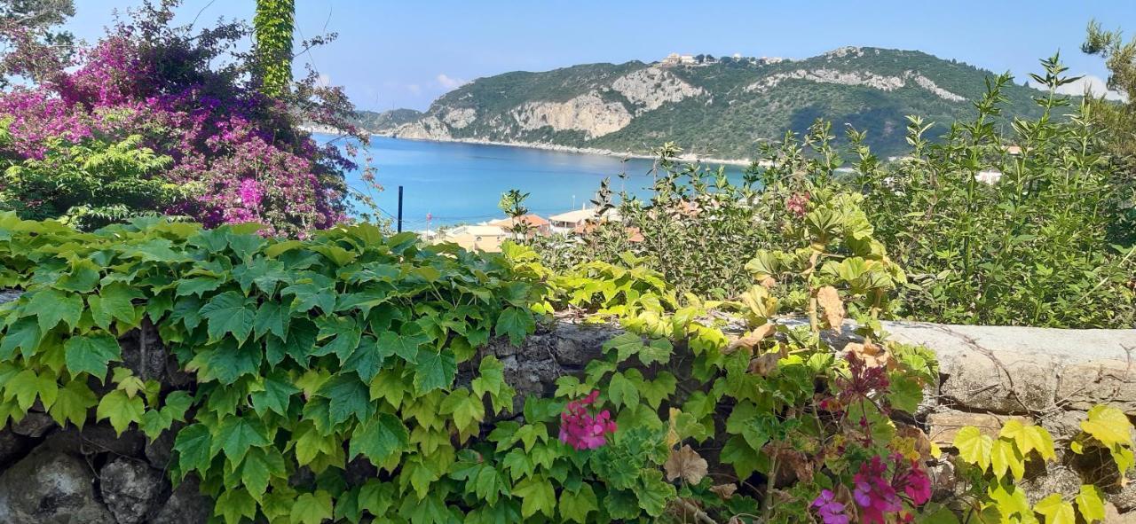 Villa Theodora View Apartments Thalia Agios Georgios Pagon Exteriér fotografie